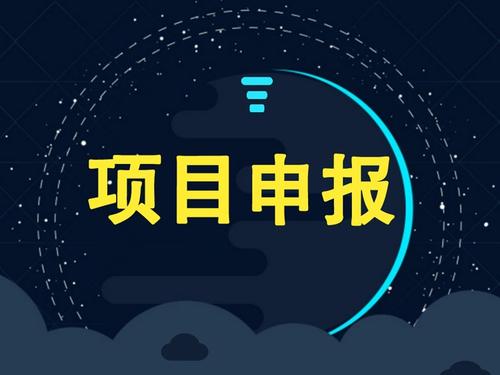 企業(yè)可以獨自申請項目補貼嗎？成功率怎么樣？