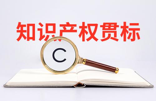 小微初創(chuàng)企業(yè)怎么申請知識產(chǎn)權(quán)貫標(biāo)？